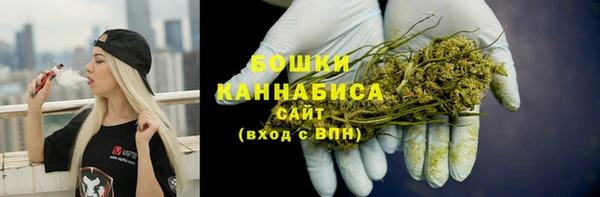 PSILOCYBIN Вязники